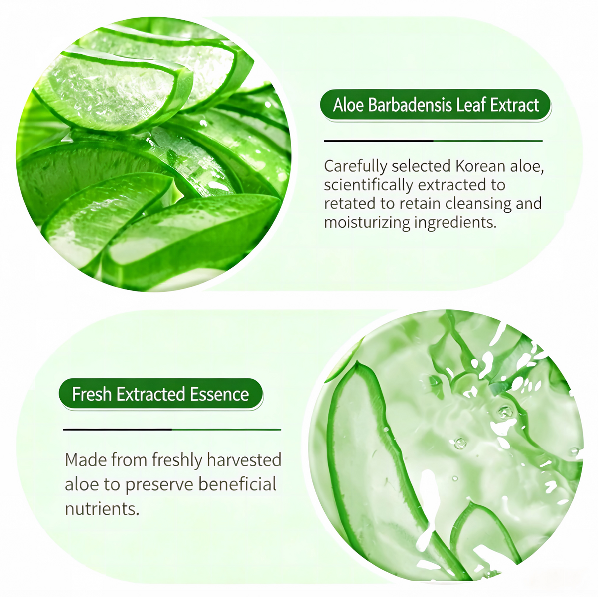 Aloe Vera Purifying Facial Cleanser – Refreshing & Moisturizing Face Wash